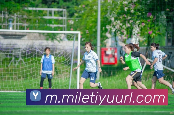 多媒体互动体验