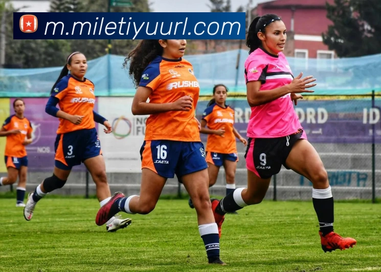 米乐体育APP 高清赛事图